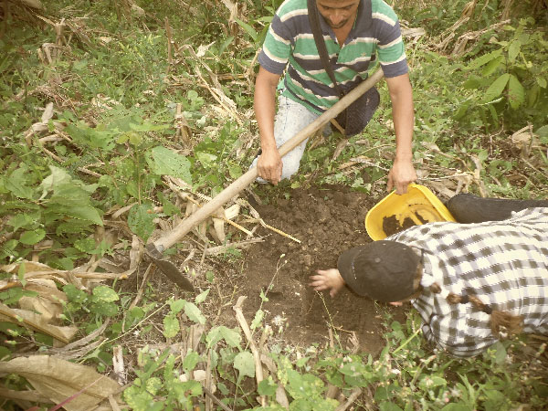 Proyectos Productivos Para La Zona Rural De Valledupar