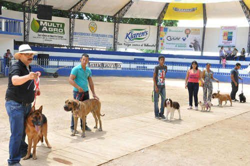 Perros de todas las razas participaron en el Festival Canino realizado en el marco de la Feria Ganadera. EL PILON/Adamis Guerra
