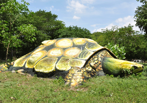 Tortugas, iguanas y tucanes hacen parte de la intervención que la Oficina de Turismo de Valledupar hace al parque El Helado. Joaquín Ramírez/EL PILÓN