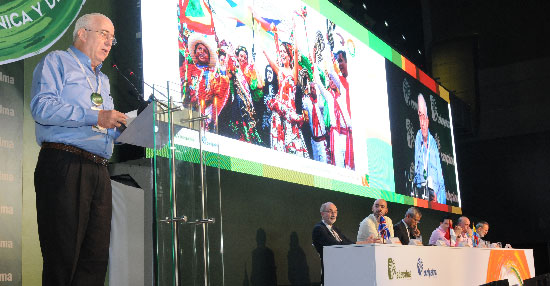 El presidente Ejecutivo de Fedepalma, Jens Mesa Dishington, se refirió al panorama actual y las proyecciones de la comercialización del aceite de palma. Suministrada/EL PILÓN


