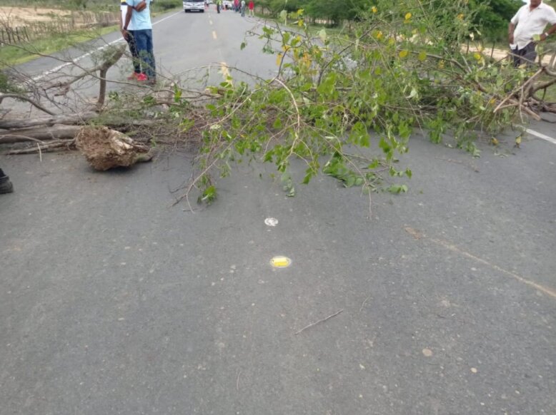 Los manifestantes bloquearon la vía con troncos de arboles y algunos baldes con agua. 