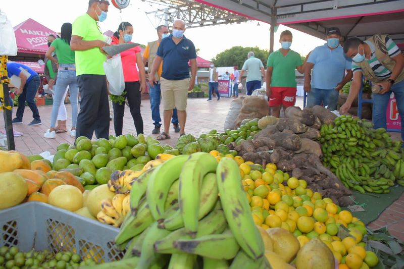 El Mercado Campesino en su tercera versión ofreció todo tipo de productos de la canasta familiar.
FOTO: CORTESÍA.