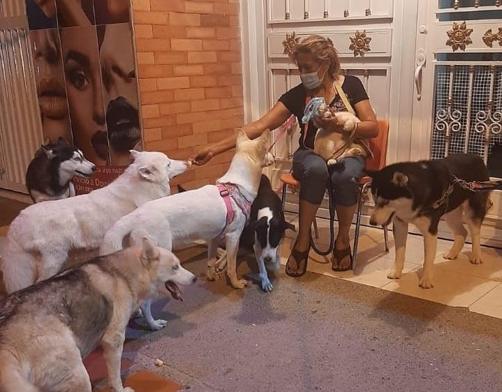 Sus ocho perros han sido un aliciente ante el dolor por la pérdida de su hijo

FOTO/CORTESÍA
