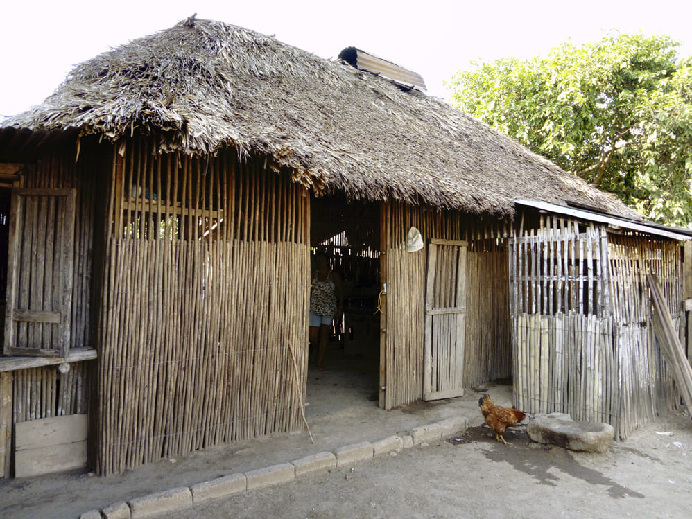 Los tradicionales patios de la región Caribe. 