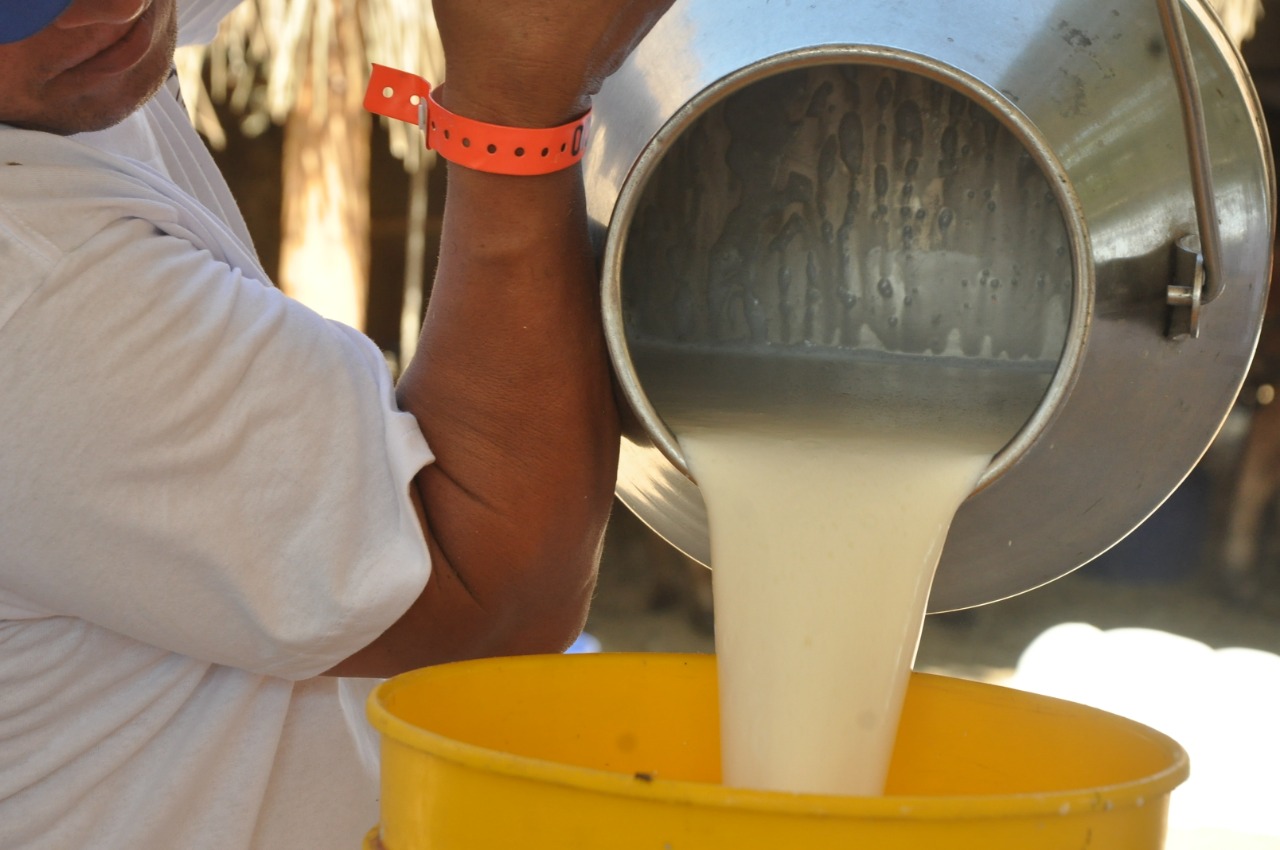 Los precios de la leche y productos derivados han aumentado en el último año.  / FOTO: JOAQUÍN RAMÍREZ. 
