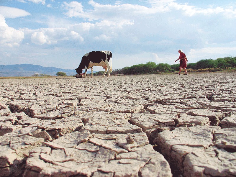 Cada 17 de junio se conmemora el Día Mundial de la lucha contra la Desertificación y la Sequía. 
