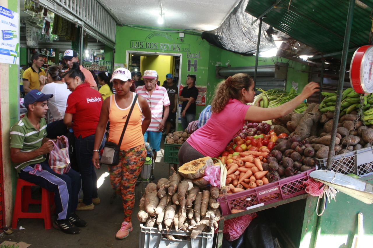 El valor del plátano estaría sobrepasando los 1.500 pesos en los municipios del Cesar. FOTO: JOAQUÍN RAMÍREZ.