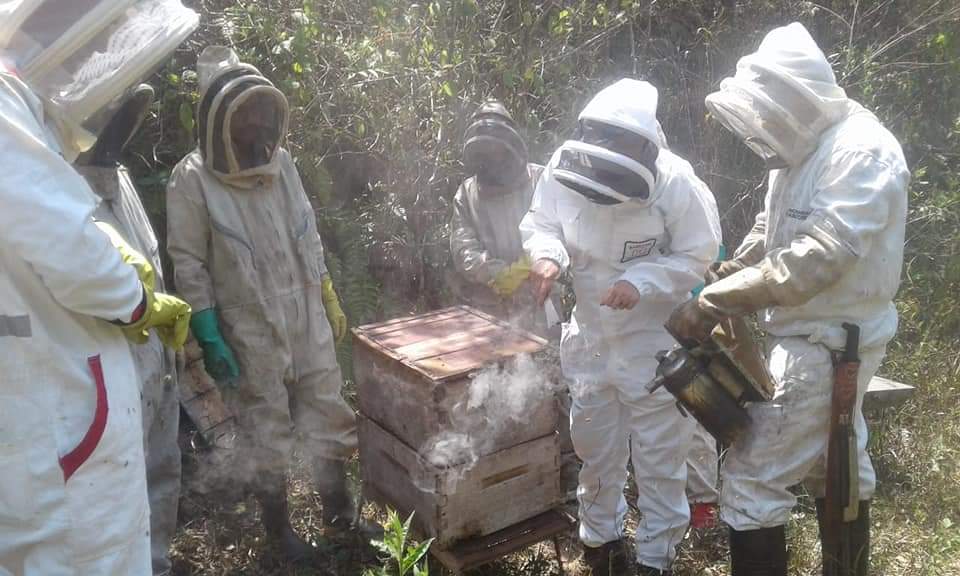 Producers from the fields of Cesar and La Guajira received aid to strengthen their agricultural units