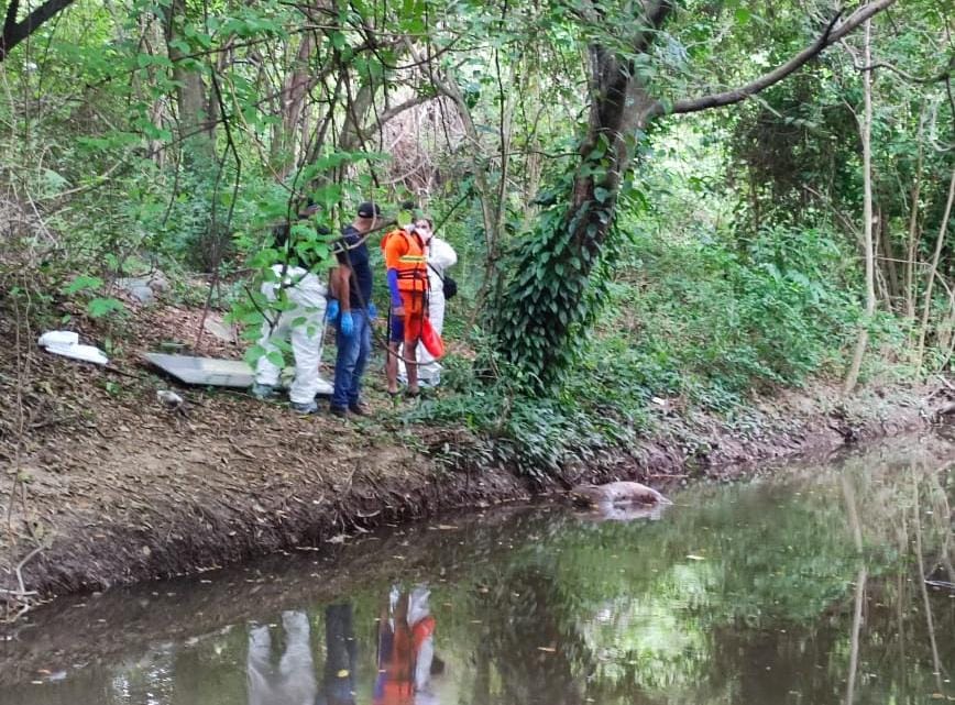 Como Miguel Agresor Rodríguez fue identificado el cuerpo hallado flotando en aguas del Río Guatapurí. /Foto: CORTESÍA
  
