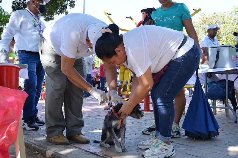 La vacunación se realizará en el barrio Primero de Mayo de Valledupar. 

FOTO: ARCHIVO.