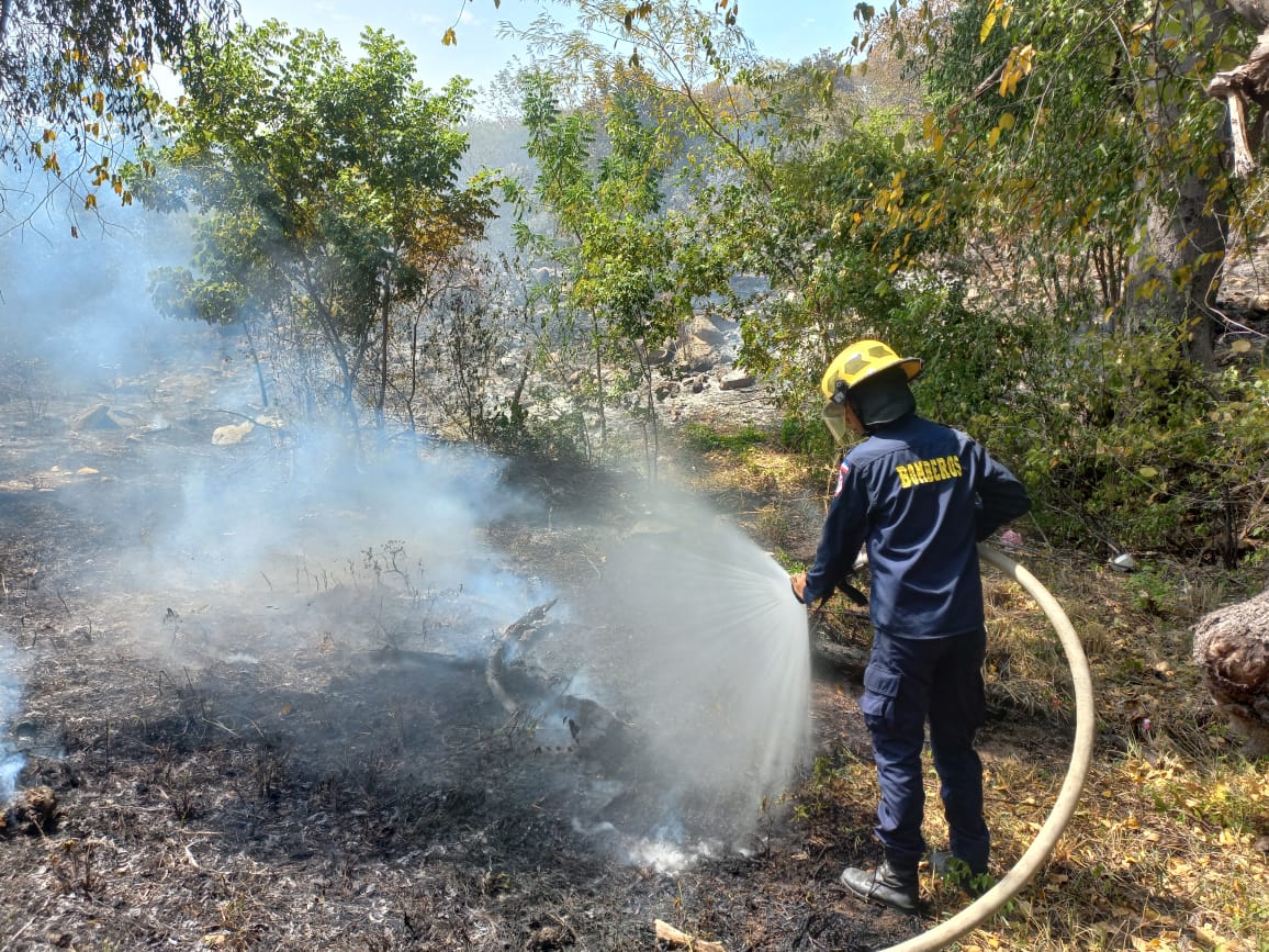 El fuego pudo ser controlado a tiempo evitando que más áreas naturales fueran consumidas por las llamas. /Foto: CORTESIA