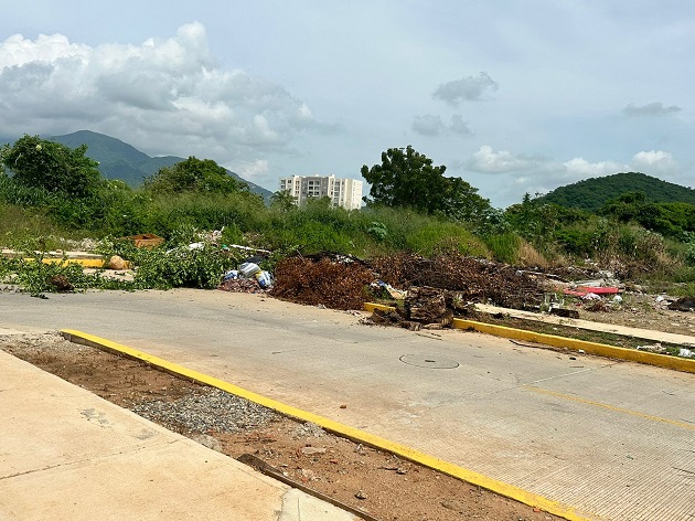 Escombros, ramas de árboles y demás desechos son arrojados al lote. 

FOTO: CORTESÍA.